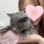 ヒメ日記 2025/02/22 02:22 投稿 宮本 華恋人(カレント)