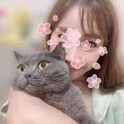 ヒメ日記 2025/03/15 18:05 投稿 宮本 華恋人(カレント)