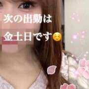 ヒメ日記 2025/03/20 15:45 投稿 宮本 華恋人(カレント)