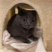 ヒメ日記 2025/03/21 22:34 投稿 宮本 華恋人(カレント)