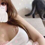 ヒメ日記 2025/03/24 15:01 投稿 宮本 華恋人(カレント)