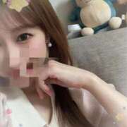 ヒメ日記 2025/03/28 09:11 投稿 宮本 華恋人(カレント)