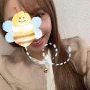 ヒメ日記 2025/03/30 09:04 投稿 宮本 華恋人(カレント)