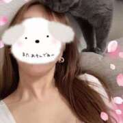 ヒメ日記 2025/03/30 21:32 投稿 宮本 華恋人(カレント)