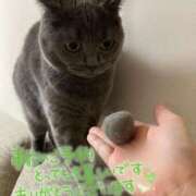 ヒメ日記 2025/04/04 09:13 投稿 宮本 華恋人(カレント)