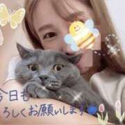 ヒメ日記 2025/04/06 09:21 投稿 宮本 華恋人(カレント)