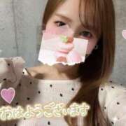 ヒメ日記 2025/04/08 09:11 投稿 宮本 華恋人(カレント)