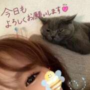 ヒメ日記 2025/04/11 09:23 投稿 宮本 華恋人(カレント)