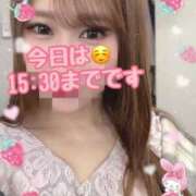 ヒメ日記 2025/04/12 08:54 投稿 宮本 華恋人(カレント)