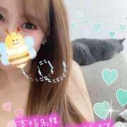 ヒメ日記 2025/04/13 09:04 投稿 宮本 華恋人(カレント)