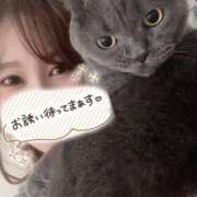 ヒメ日記 2025/04/15 21:17 投稿 宮本 華恋人(カレント)