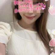 ヒメ日記 2025/04/17 10:54 投稿 宮本 華恋人(カレント)