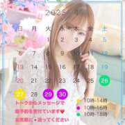 ヒメ日記 2025/04/25 19:37 投稿 宮本 華恋人(カレント)