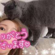 ヒメ日記 2025/04/26 20:45 投稿 宮本 華恋人(カレント)