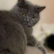 ヒメ日記 2025/04/28 22:25 投稿 宮本 華恋人(カレント)