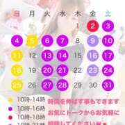 ヒメ日記 2025/04/30 16:02 投稿 宮本 華恋人(カレント)