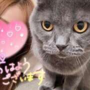 ヒメ日記 2025/05/09 09:09 投稿 宮本 華恋人(カレント)