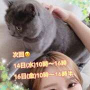ヒメ日記 2025/05/13 14:59 投稿 宮本 華恋人(カレント)