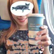 ヒメ日記 2025/05/15 18:27 投稿 宮本 華恋人(カレント)