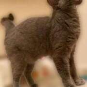 ヒメ日記 2025/05/20 09:05 投稿 宮本 華恋人(カレント)