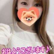 ヒメ日記 2025/05/28 09:20 投稿 宮本 華恋人(カレント)