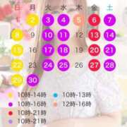 ヒメ日記 2025/06/01 11:49 投稿 宮本 華恋人(カレント)