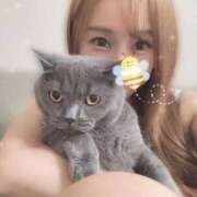 ヒメ日記 2025/06/02 22:32 投稿 宮本 華恋人(カレント)