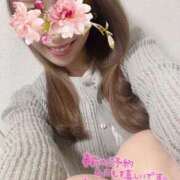 ヒメ日記 2025/06/04 00:00 投稿 宮本 華恋人(カレント)