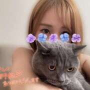 ヒメ日記 2025/06/05 16:46 投稿 宮本 華恋人(カレント)