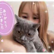 ヒメ日記 2025/06/14 21:06 投稿 宮本 華恋人(カレント)