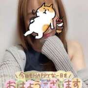 ヒメ日記 2025/06/15 09:10 投稿 宮本 華恋人(カレント)