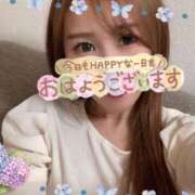 ヒメ日記 2025/06/24 09:26 投稿 宮本 華恋人(カレント)