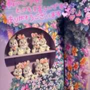 ヒメ日記 2025/06/28 22:42 投稿 宮本 華恋人(カレント)