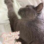 ヒメ日記 2025/07/12 15:50 投稿 宮本 華恋人(カレント)