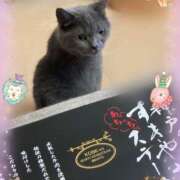 ヒメ日記 2025/07/16 23:29 投稿 宮本 華恋人(カレント)