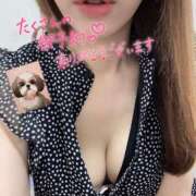 ヒメ日記 2025/08/07 00:33 投稿 宮本 華恋人(カレント)