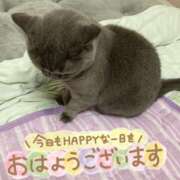 ヒメ日記 2025/08/13 09:19 投稿 宮本 華恋人(カレント)