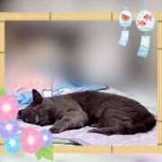 ヒメ日記 2025/08/14 09:16 投稿 宮本 華恋人(カレント)