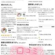 ヒメ日記 2025/08/29 08:30 投稿 宮本 華恋人(カレント)