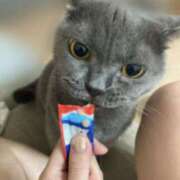 ヒメ日記 2025/08/31 09:21 投稿 宮本 華恋人(カレント)