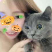 ヒメ日記 2025/10/04 14:01 投稿 宮本 華恋人(カレント)