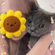 ヒメ日記 2025/11/02 16:42 投稿 宮本 華恋人(カレント)