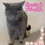 ヒメ日記 2025/11/07 23:10 投稿 宮本 華恋人(カレント)