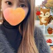 ヒメ日記 2025/11/17 08:25 投稿 宮本 華恋人(カレント)