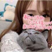 ヒメ日記 2025/11/18 09:01 投稿 宮本 華恋人(カレント)