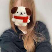 ヒメ日記 2025/11/23 09:24 投稿 宮本 華恋人(カレント)