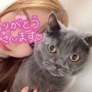 ヒメ日記 2025/11/24 16:23 投稿 宮本 華恋人(カレント)