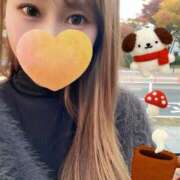 ヒメ日記 2025/11/29 07:09 投稿 宮本 華恋人(カレント)