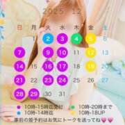 ヒメ日記 2025/12/02 23:03 投稿 宮本 華恋人(カレント)