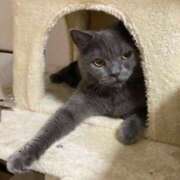 ヒメ日記 2025/12/08 16:56 投稿 宮本 華恋人(カレント)